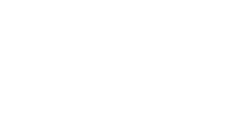 SES logo white
